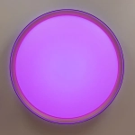 Citilux BOSS CL751451G LED RGB Светильник с пультом Чёрный с Золотом