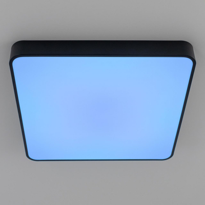 Citilux Купер CL724K95G1 LED RGB Светильник с пультом Чёрный