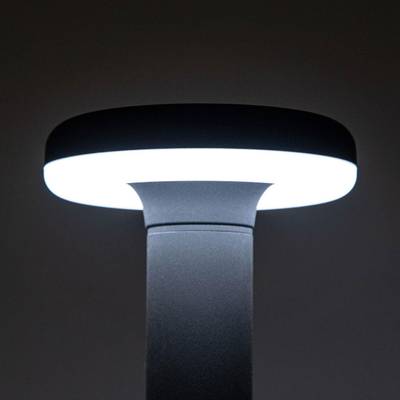 Citilux CLU01B LED Уличный парковый светильник Графит