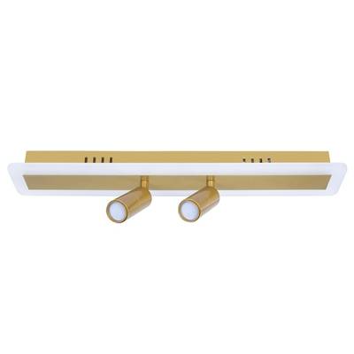 Спот Arte Lamp TOMMY A2607PL-22GO, 1хLED