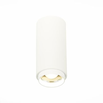 ST600.542.10 Светильник потолочный Zoom Белый LED 1*10W 4000K 1 000Lm Ra&gt;80 15-60° IP20 D59xH130 170-240VV