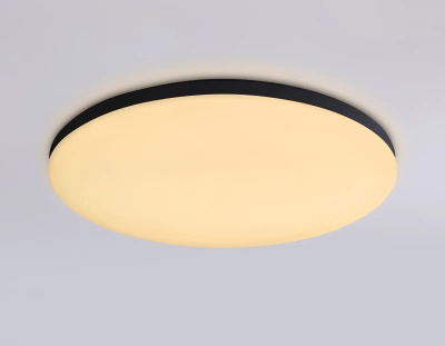 Потолочный светодиодный светильник с Wi-Fi Яндекс Алисой/Tuya/Smart Home/Alexa FZ2004 BK черный IP54 20W 3000K-6500K+RGB D300*55 (ПДУ ИК)