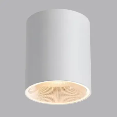 7139/12CL HIGHTECH ODL26 325 светильник белый/металл IP20 LED 12W 840Лм 3000K/4000K/6000K 36° 220-240V BRIM