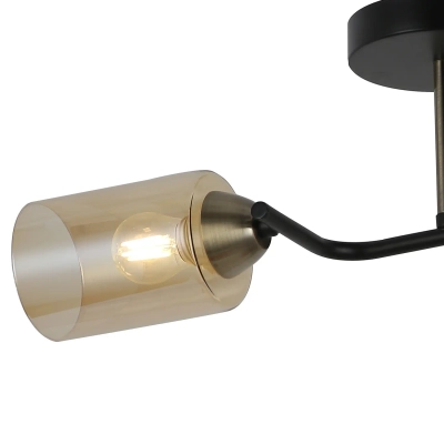 IL8148-2COU-79 BK BR Bice светильник потолочный ILLUMICO, E27х2