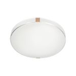 7676/EL COLOR SN 82 Светильник пластик/золотистый LED 70Вт 3000-6000K D493 IP43 пульт ДУ OTIGA WHITE