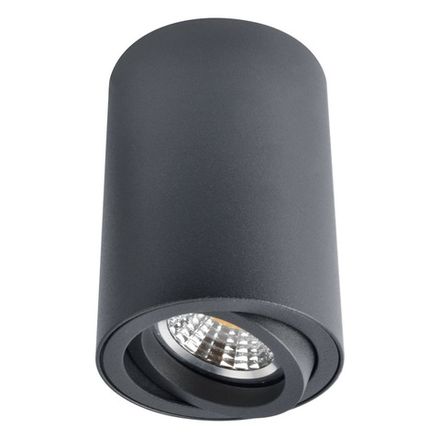 Точечный накладной светильник Arte Lamp SENTRY A1560PL-1BK, 1хGU10