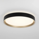 Citilux BOSS CL751351G LED RGB Светильник с пультом Чёрный с Золотом