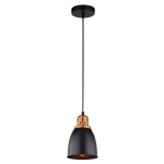 Подвесной светильник Arte Lamp EURICA A4248SP-1BK, 1хE27