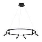 Подвесная люстра Arte Lamp RING A2186SP-1BK, 1хLED