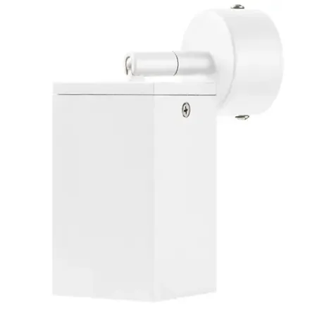 590206 Потолочное крепление RULLO для светильников 2163Х  БЕЛЫЙ Lightstar