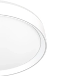 Citilux BOSS CL751350G LED RGB Светильник с пультом Белый
