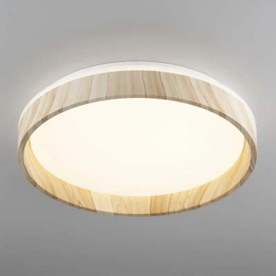 Citilux ENZO CL753352G LED RGB Светильник с пультом Клён