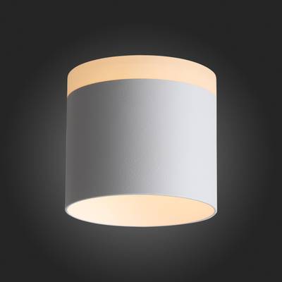 ST102.502.12 Светильник потолочный Белый LED 1*12W 3000K 936Lm Ra&gt;80 120° IP20 D100xH90 170-240V
