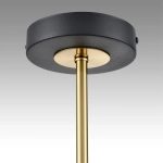 8240/8C COMFI LN26 239 черный/латунь, металл/акрил Люстра потолочная LED GX53 8*7W 220V LANIKA