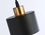 Подвесной светильник в стиле лофт TR8113 BK/BS черный/латунь E27 max 40W D120*940