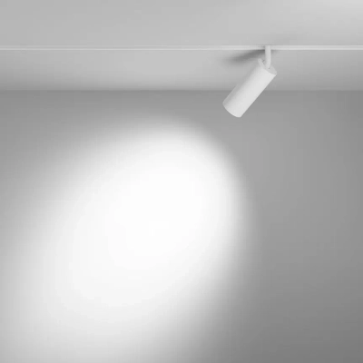 Трековый светильник Фокус / Focus Led Exility 2700-6000K 12Вт 36° Dim Dali2, TR032-4-12WTW-M-DD2-W. TM Maytoni