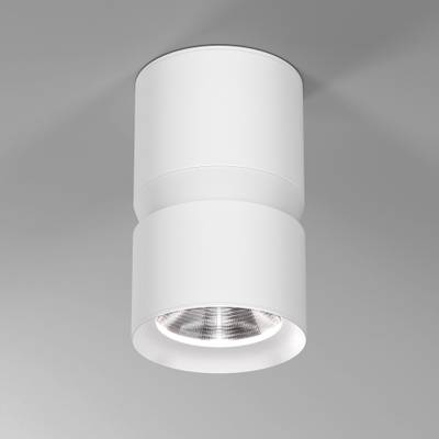 Светильник накладной светодиодный Kayo 12W 4000К белый 25049/LED