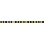 Светодиодная лента RT-5000-2835-160-24V Day4000 (Black 8mm, 12W/m, IP20) (Arlight, -)