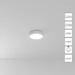 Потолочный светильник Arte Lamp FADO A6620PL-1WH, 1хLED