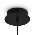 Подвесной светильник FR5557PL-L14B, 10Вт 2700К IP20. TM Maytoni