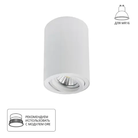 Точечный накладной светильник Arte Lamp SENTRY A1566PL-1WH, 1хGU10