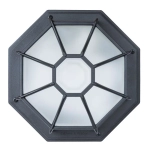 Уличный потолочный светильник Arte Lamp PEGASUS A3100PL-1BK, 1хE27