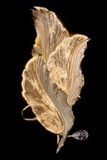 Бра Felicity Gold FL1182-2W, LED