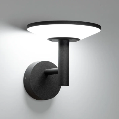 Citilux Dorn CLU05W LED Уличный настенный светильник Графит