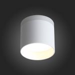 ST102.502.09 Светильник потолочный Белый LED 1*9W 3000K 702Lm Ra&gt;80 120° IP20 D79xH75 170-240V