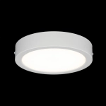 Citilux Галс CL5516N Светильник накладной светодиодный