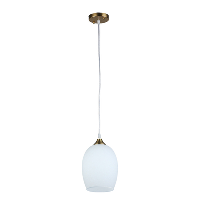 Подвесной светильник Arte Lamp PROPUS A4344SP-1PB, 1хE27
