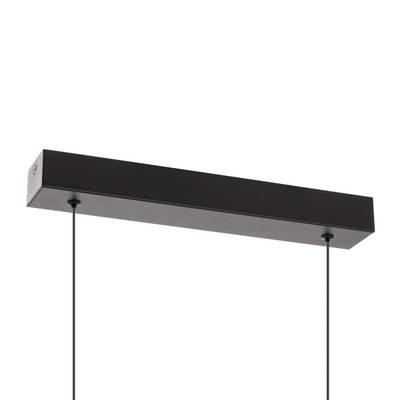 Citilux GLOB CL209131 LED Светильник подвесной Чёрный