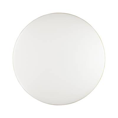 3043/DL TAN SN 214 Светильник пластик/белый/золотистый LED 48Вт 3000-6500К D385 IP43 пульт ДУ/ LampSmart LASSA