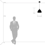 810030 Подвес AGOLA 1х40W E14 ХРОМ/БЕЛЫЙ Lightstar