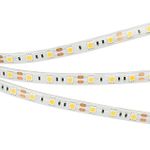 Светодиодная лента герметичная RTW-SE-B60-10mm 12V Day4000 (14.4 W/m, IP65, 5060, 5m) (Arlight, 14.4 Вт/м, IP65)