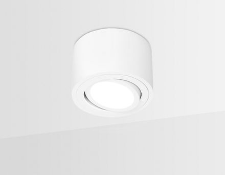 Накладной точечный светильник с врезным отверстием TN222 WH/S белый/песок GU5.3 D80*50