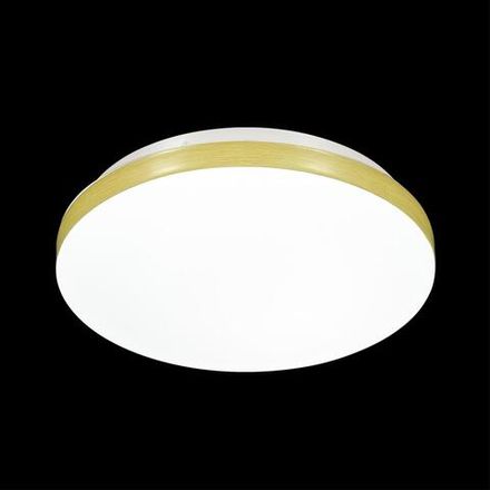 3066/CL MINI SN 042 Светильник пластик/белый/под светлое дерево LED 30Вт 4000К D330 IP43 SMALLI