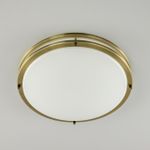 Citilux Бостон CL709503N LED Люстра с диммером Бронза