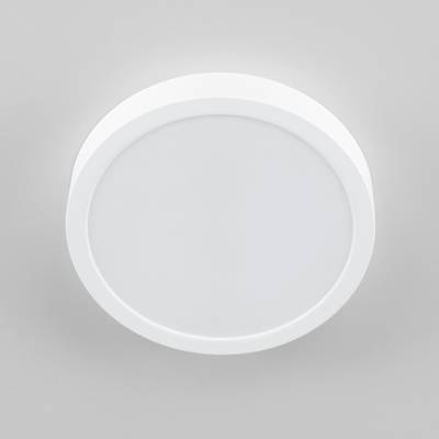 Citilux Галс CL5522N Светильник накладной светодиодный