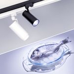 Светильник LGD-ZEUS-4TR-R100-30W Cool SP7500-Fish (WH, 20-60 deg, 230V) (Arlight, IP20 Металл, 3 года)