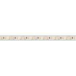 Светодиодная лента герметичная RTW-PU-A120-10.5mm 12V Day4000 (16.8 W/m, IP68, 2835, 5m) (Arlight, -)