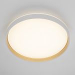 Citilux ENZO CL753510G LED RGB Светильник с пультом Белый + Золото