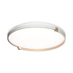 7646/ELN PALE SN 189 Светильник пластик/золотой LED 76Вт 3000/4000/6000К D490 IP43 CCT OLIDI WHITE