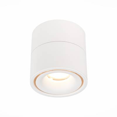 ST652.532.12 Светильник потолочный Белый LED 1*12W 3000K 1 000Lm Ra&gt;90 36° IP20 D100xH105 170-240V