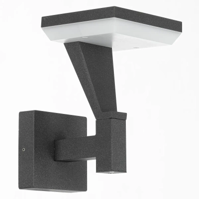 Citilux Krid CLU06W LED Уличный настенный светильник Графит