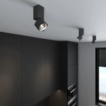 Светильник потолочный светодиодный Cubus 10W 4000K чёрный 25043/LED