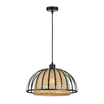 Подвесной светильник Arte Lamp WOODSTOCK A7071SP-1BK, 1хE27