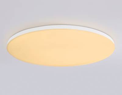 Потолочный светодиодный светильник с Wi-Fi Яндекс Алисой/Tuya/Smart Home/Alexa  FZ2003 WH белый IP54 30W 3000K-6500K+RGB D450*60 (ПДУ ИК