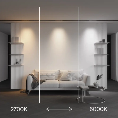 Трековый светильник Точки / Points Exility X 2700-6000K 6Вт 40° Dim Smart Zigbee, TR241-4-6WTW-DSZ-B. TM Maytoni