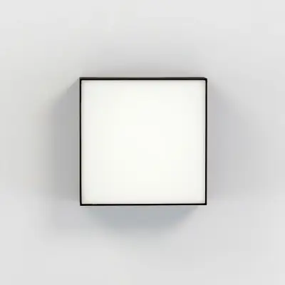 Citilux Тао CL712X122N LED Светильник потолочный с диммером Чёрный